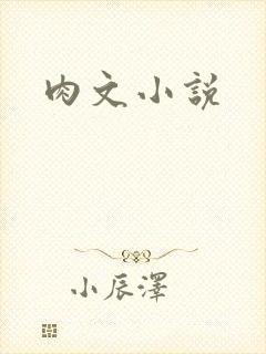 肉文小说