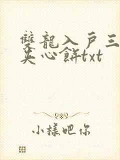 双龙入户三人行夹心饼txt