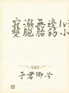 宠溺无边1v3双胞胎的小说