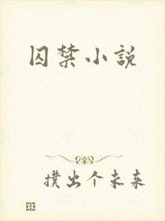 囚禁小说