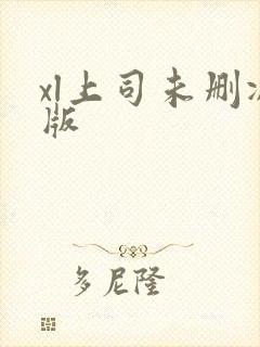 xl上司未删减版