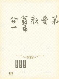 公翁欢爱第三十一篇