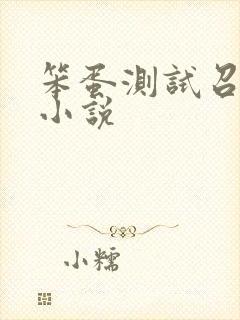 笨蛋测试召唤兽小说