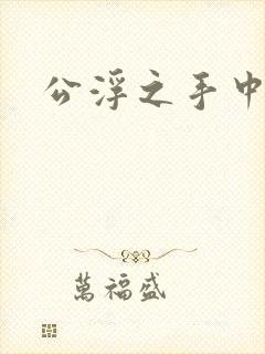 公浮之手中字5