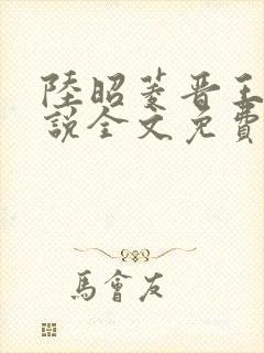 陆昭菱晋王的小说全文免费阅读