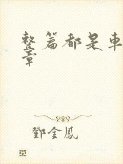 整篇都是车的文章