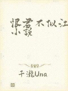 恨君不似江楼月小说