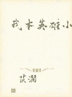 我本英雄小说