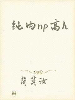 纯肉np高h