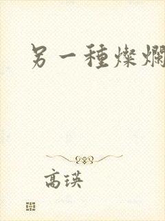 另一种灿烂生活