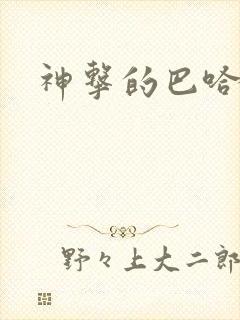 神击的巴哈姆特