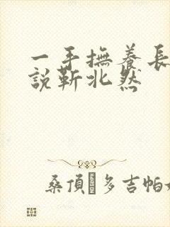 一手抚养长大小说靳北然