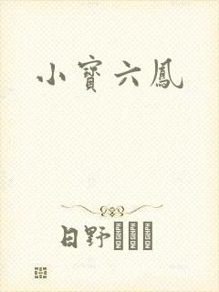 小宝六凤