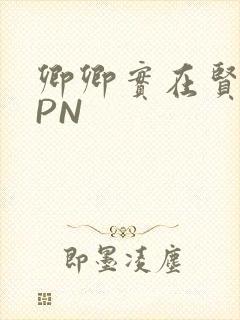 卿卿实在贤良NPN