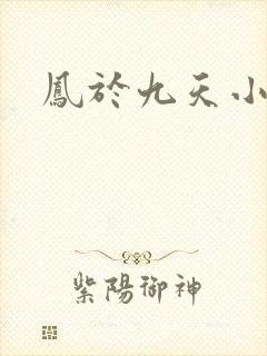凤于九天小说