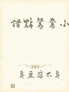 错点鸳鸯小说