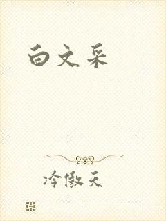 白文采