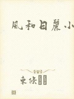 风和日丽小说