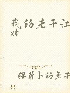 我的老千江湖txt