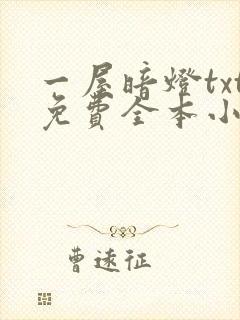 一屋暗灯txt免费全本小说电子书
