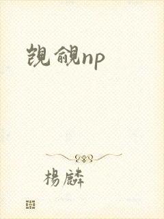 觊觎np