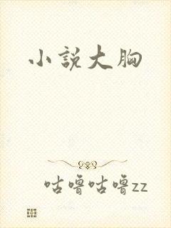 小说大胸