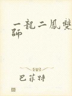 一龙二凤双飞老师