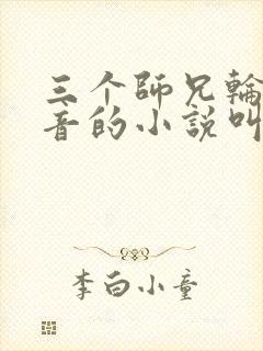 三个师兄轮流上音的小说叫什么