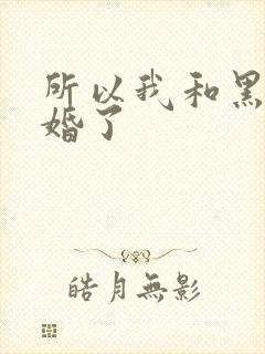 所以我和黑粉结婚了