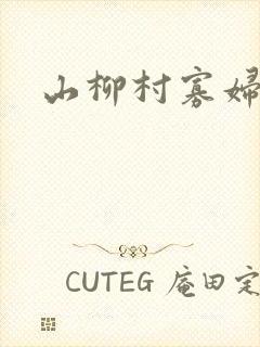 山柳村寡妇情史