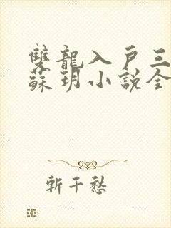 双龙入户三人行苏玥小说全文阅读
