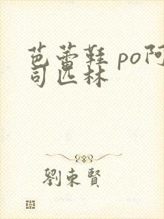 芭蕾鞋 po阿司匹林