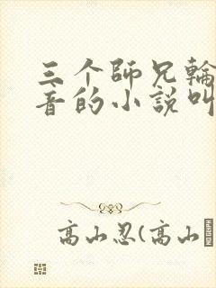 三个师兄轮流上音的小说叫什么