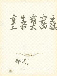 重生霸宠之摄政王爷太凶猛