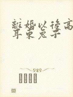 离婚以后高干 耳东兔子