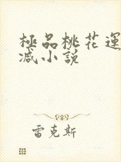 极品桃花运未删减小说