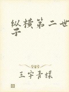 纵横第二世界宽子