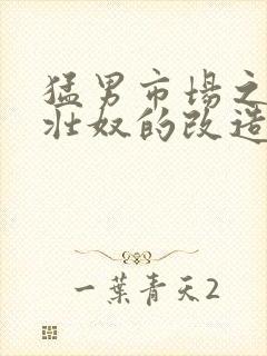 猛男市场之肌肉壮奴的改造