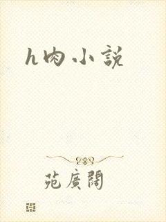 h肉小说