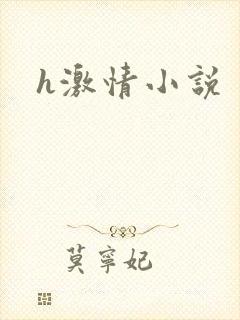 h激情小说