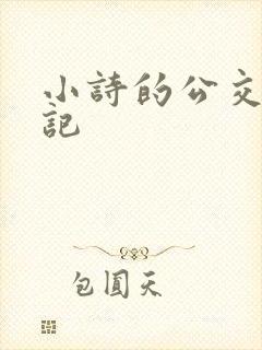 小诗的公交车日记