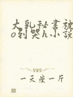 大乳秘书被cao到哭h小说