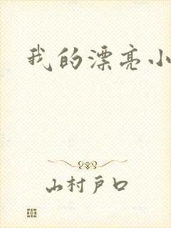 我的漂亮小后妈