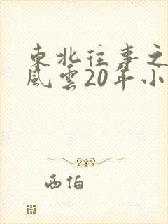 东北往事之黑道风云20年小说