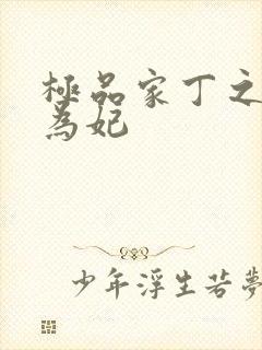 极品家丁之册母为妃