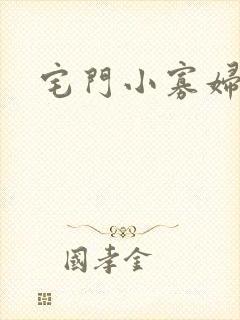 宅门小寡妇