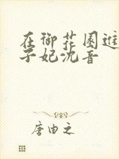 在御花园进入太子妃沈音