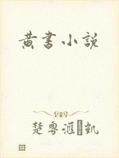 黄书小说