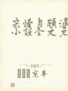 宋惜月顾浔渊的小说全文免费阅读