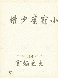 权少蜜宠小娇妻